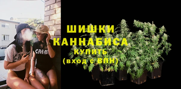 винт Дмитриев