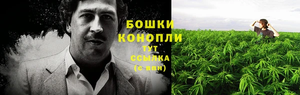 Альфа ПВП Дмитровск