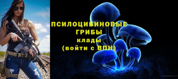 Альфа ПВП Дмитровск