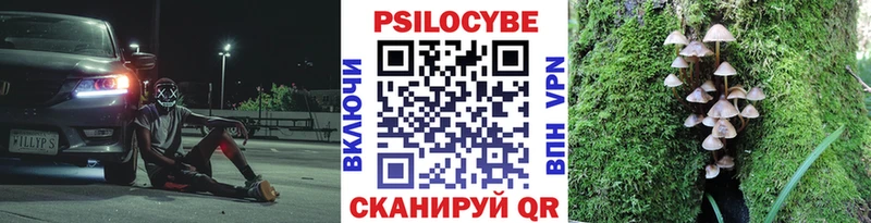 Псилоцибиновые грибы мухоморы  Купить где  Рыбное 